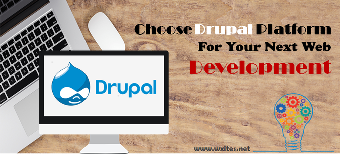 Choose Drupal Platform for web development