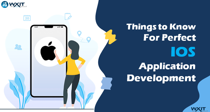 Perfect iOS Application Development